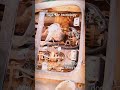 wiring harness replace#automobile #mechanic