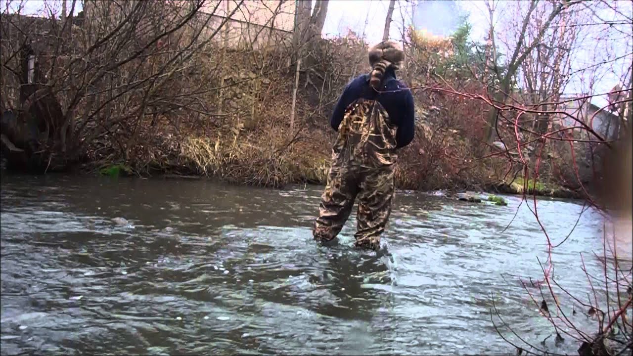 Spring Creek Trout Fishing YouTube
