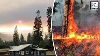 Fire Breaks Out In Helena, Causes Ash Rain And Massive Smoke Cloud | Lehren News