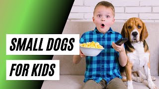 What are the Best Small Dogs for Kids? Dogs 101