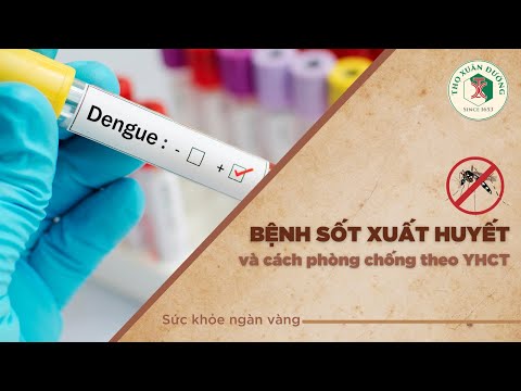 Video Bệnh sốt xuất huyết và cách phòng chống theo y học cổ... - YouTube