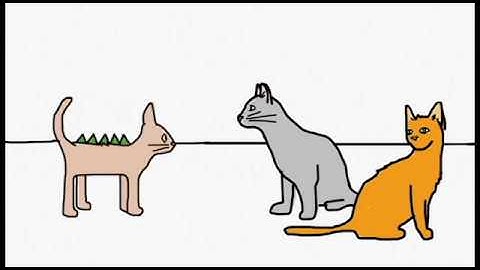 The Mediocre Shapeshifter (Stop Motion Animation)