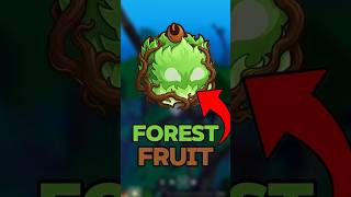 🌳 Forest Fruit CONFIRMED?! Is Blox Fruits Adding a New Fruit? 🤯