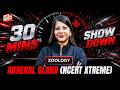 Adrenal Gland NCERT Xtreme 🔥 | 30 Minute Showdown NEET Zoology | Extramarks NEET