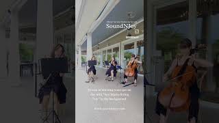Ave Maria – String Trio | Elegant Wedding Music Live #soundnjoy #weddingmusic #avemaria
