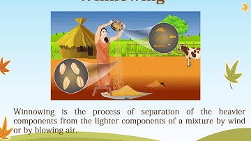 E- Scholastic- Science Class 6 Separation of Substances CBSE|NCERT #SeparationOfSubstances