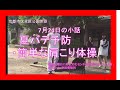 京都市伏見区　公園体操　夏バテ予防・簡単な肩こり体操の小話