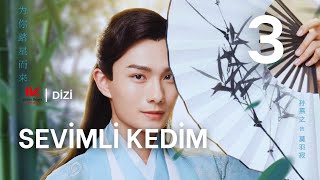 Sevimli Kedim l 3.Bölüm l Be My Cat l Mo Xiu Ran, Su Xiao He  l #我的寵物少將軍
