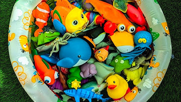 Sea Animals Learning for Kids | Fun Toy Ocean Creatures Play & Educational Adventure