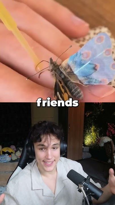 The Difference Between Friends And Friends YouTube the-difference-between-friends-and-friends-youtube