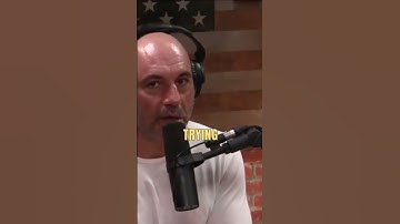 What Would Joe Rogan Do In The Apocalypse