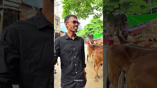 প্রতারক হতে সাবধান। 😁#funny #comedy #youtubeshorts #dada