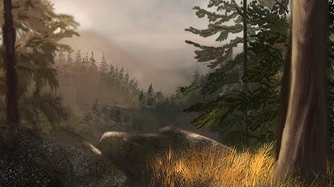 Time LAPSE procreate| forest landscape