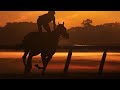 Fearless //Horse racing music video