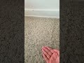 just grow #trend #funny