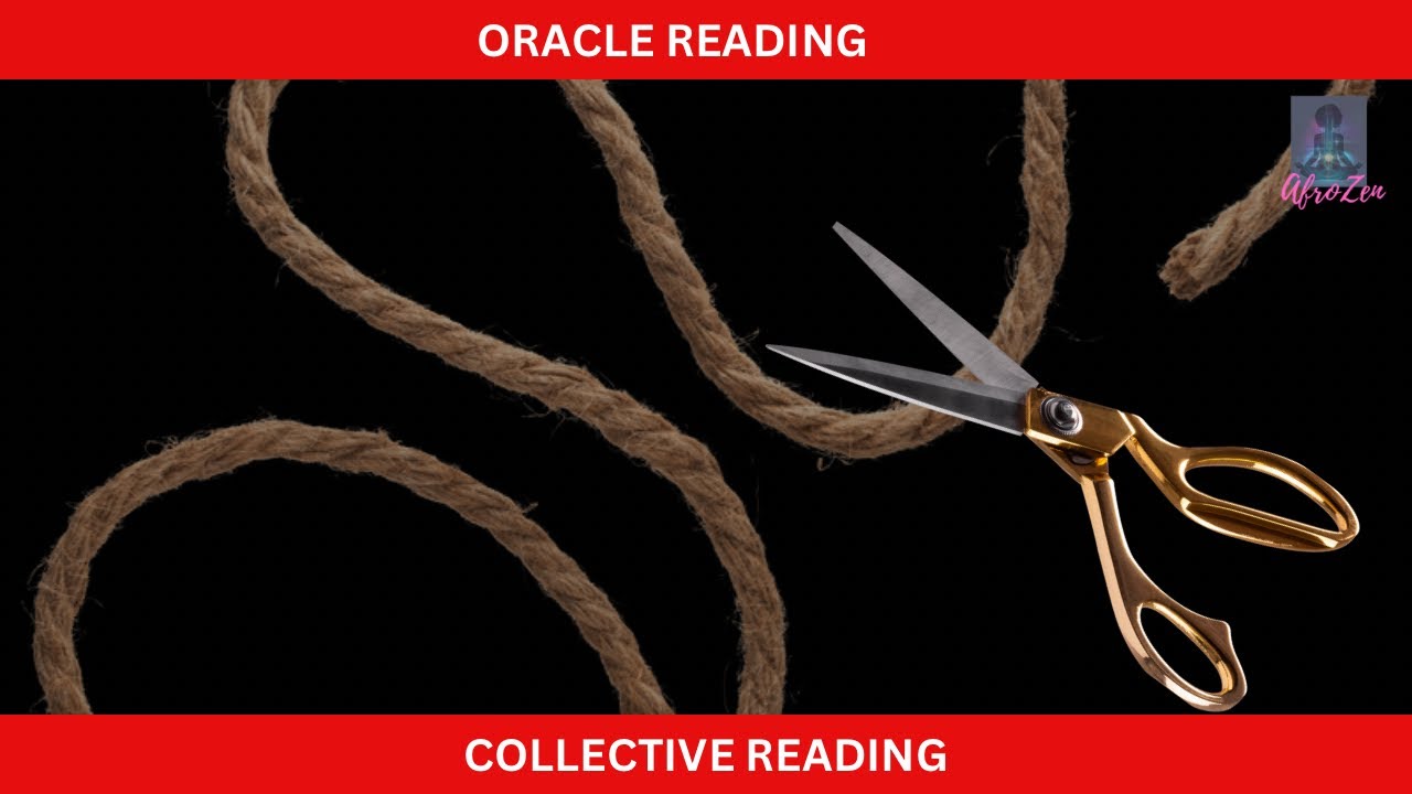 🤣THEY HATE THAT THEY CAN’T CONTROL YOU🤣#divinejustice #divinefeminine #afrozentarot #theafrozen