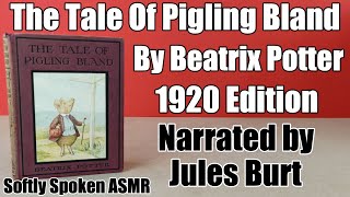 Beatrix Potter - The Tale Of Pigling Bland - Narrated By Jules Burt - Softly Spoken ASMR screenshot 5