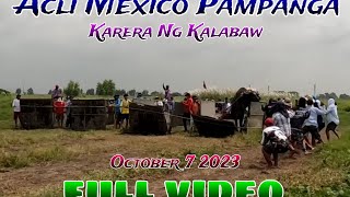 EP,1027. Acli mexico pampanga karera ng Kalabaw full video October 72023