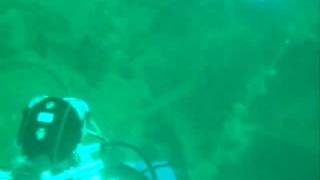 DSCF2511.AVI