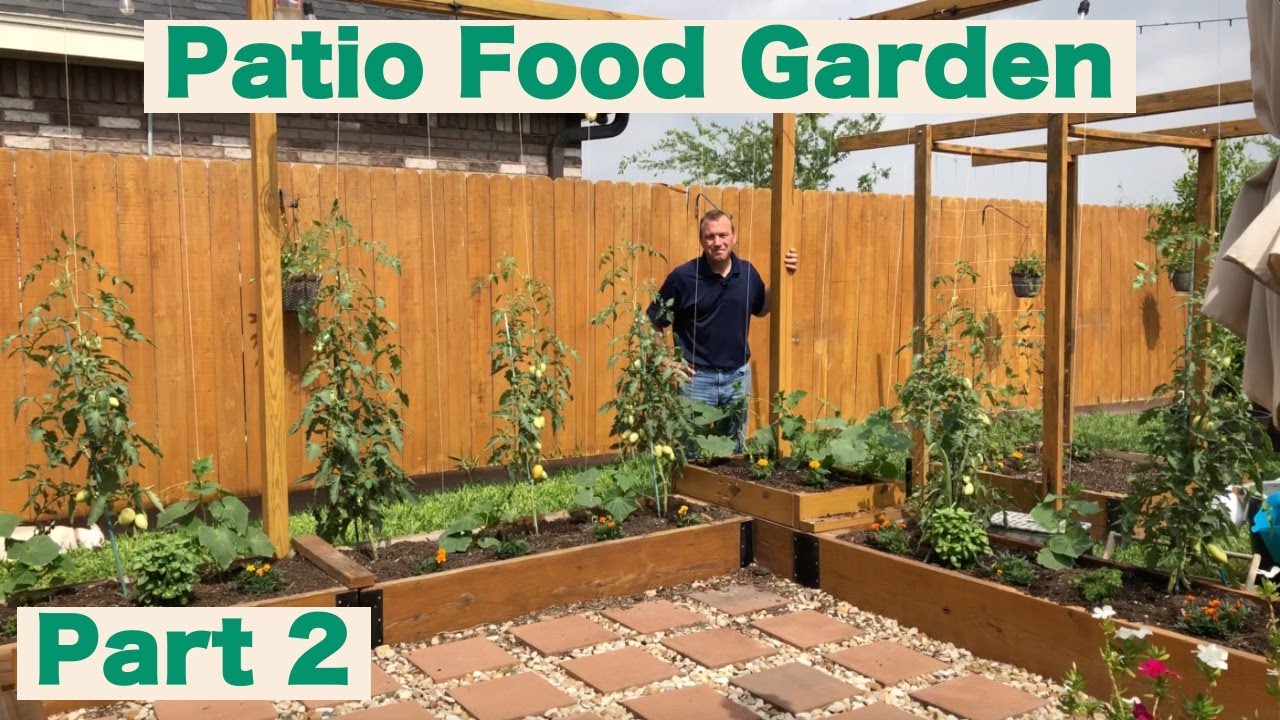 Patio Food Garden Project Part 2 YouTube