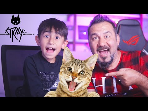 KEDİ OLDUK! BİR KEDİNİN YAPABİLECEĞİ HERŞEY! | PS5 STRAY OYNUYORUZ