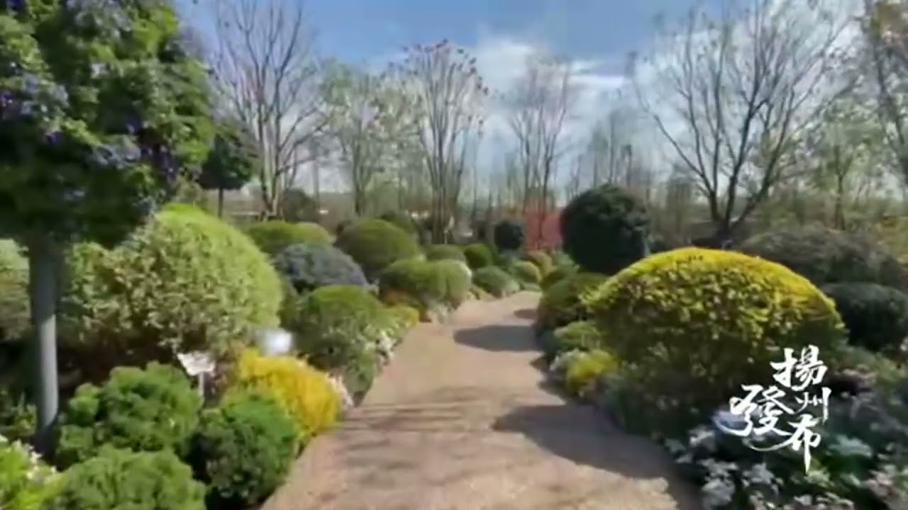 YangzhouExpo2021: Shanghai Garden