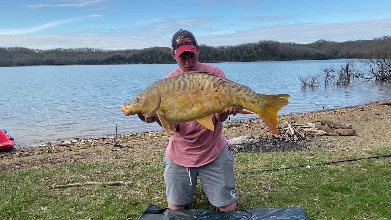 Dale hollow carp fishing PB BROKEN YouTube