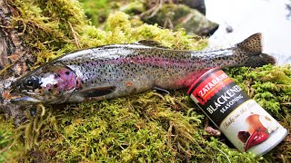 Catch and Cook in the Alaskan Rainforest