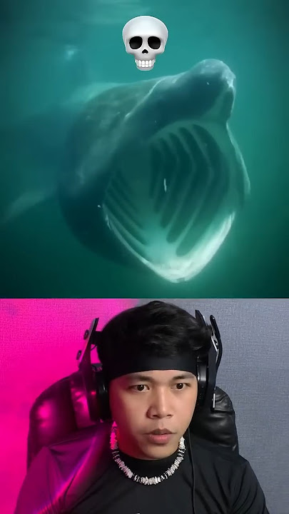 Inilah Hiu Paling Mengerikan Di Dunia 😱 #shorts