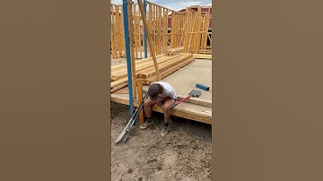 #apprentice #goodvibes #live #prank #funny