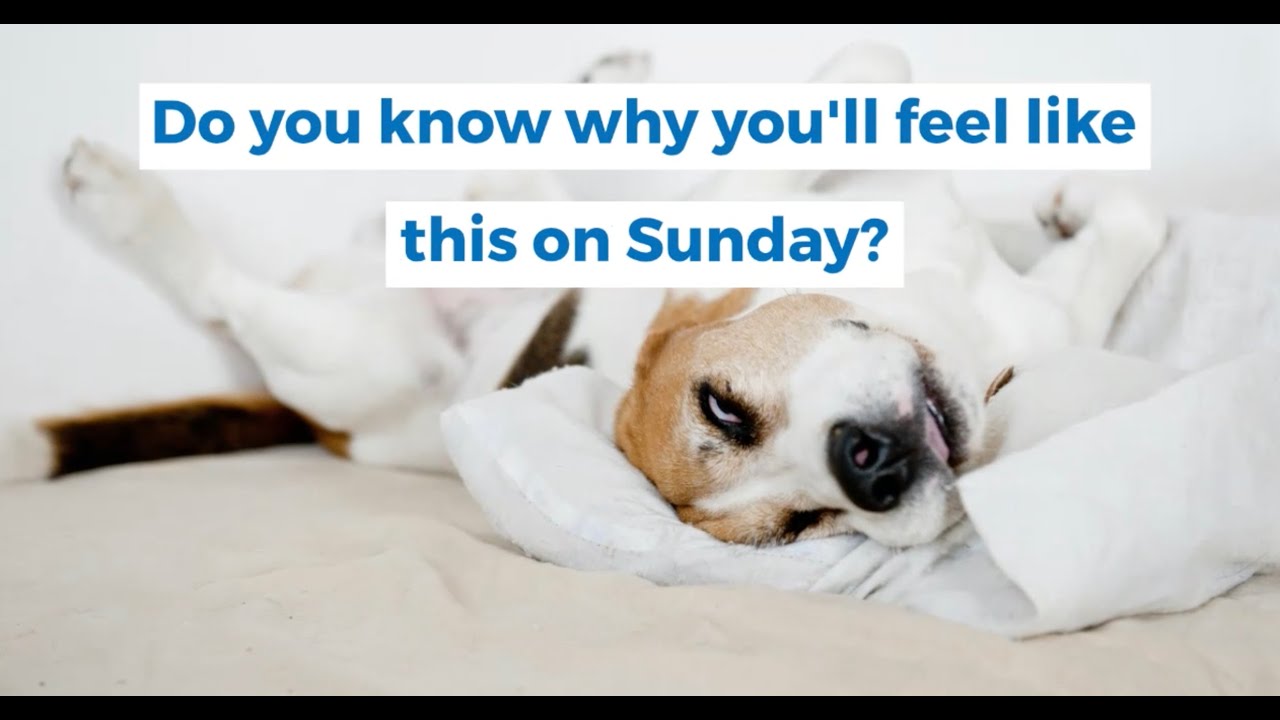 Ra Optics - How To Beat Daylight Savings Time Sleepiness.