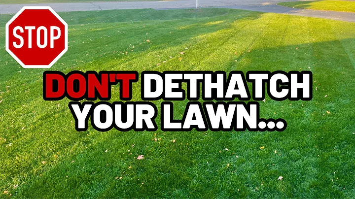 STOP: You probably DON'T need to dethatch your lawn
