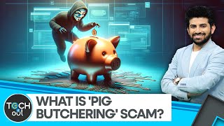 Explained: Pig butchering scam | Tech It Out