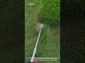 Extreme Grass Trimming Skills! Satisfying Overgrown Lawn Cleanup 🌱🔥