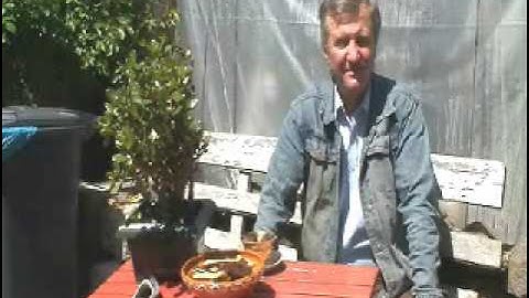 Videostudijos "SLAPTAI" svečias - atsargos majoras Vytautas Perkauskas