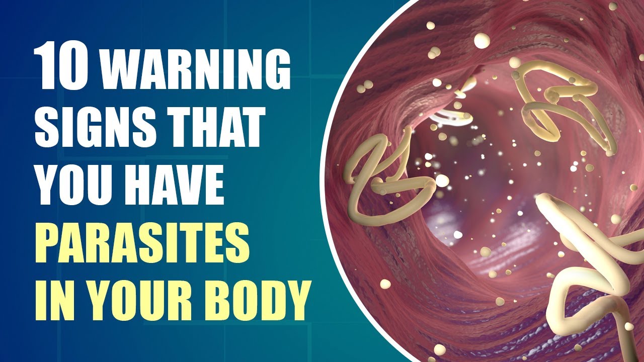 Don'T Ignore These Early Symptoms Of Parasites In Your Body