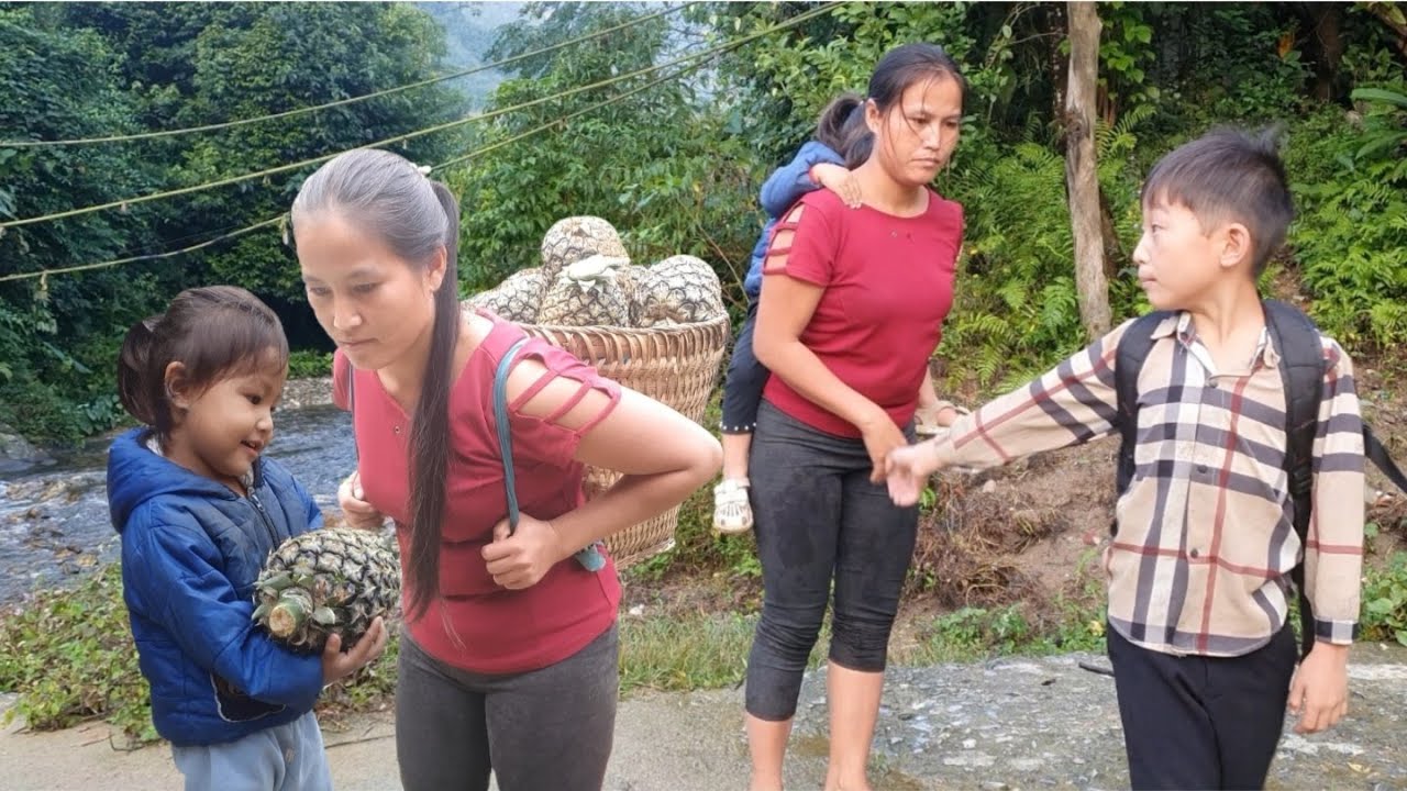 Harvest fragrant pineapples to sell, a daily job for a single mother ...
