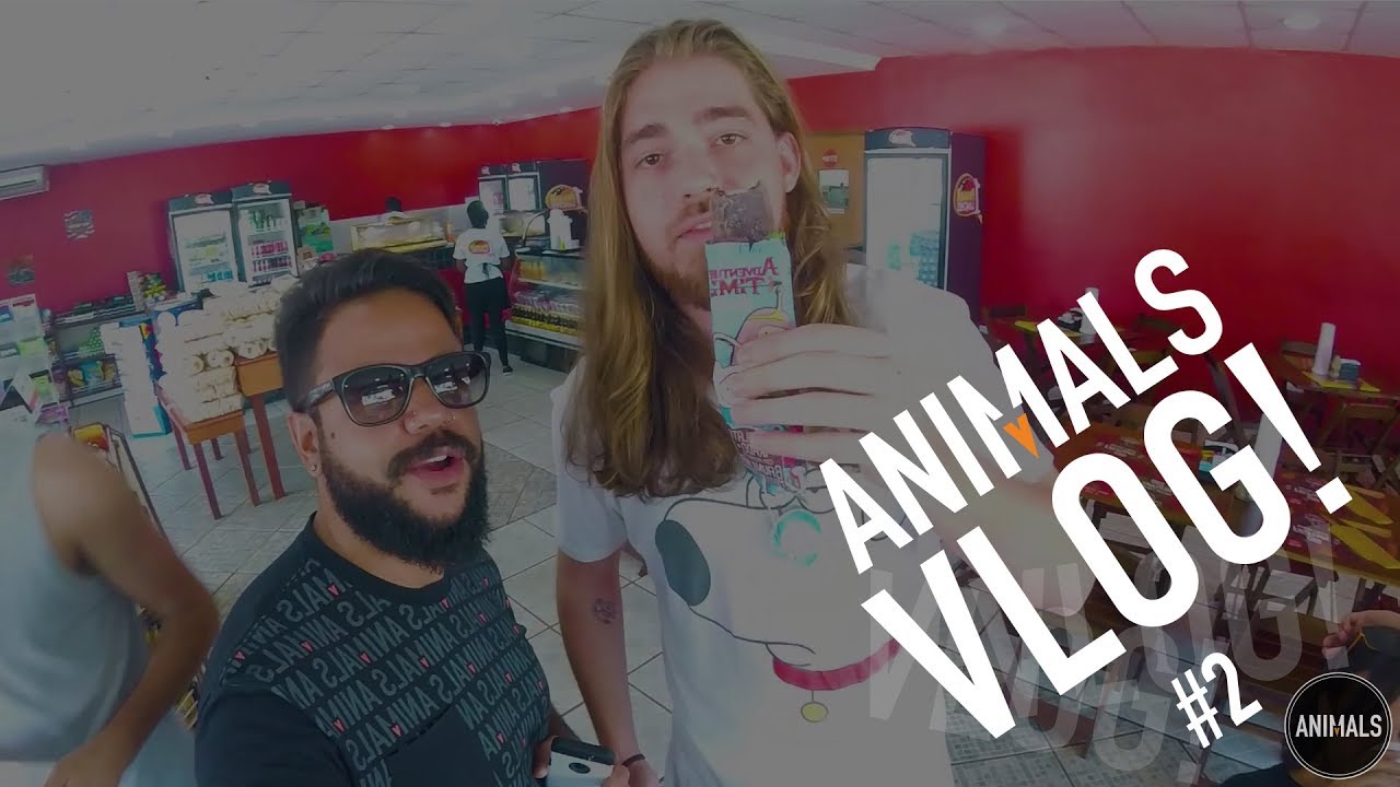 Vlog Animals #2 (FEV.2018)