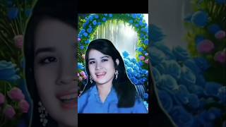 #17 tahun - Elvy Sukaesih#