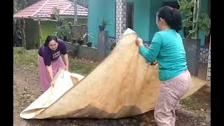 Ibu dan anak jemur padi