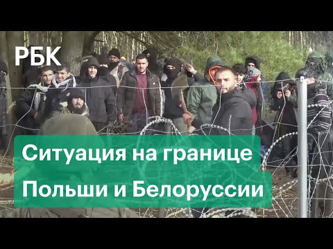 Мигранты на польско-белорусской границе: выстрелы, штурм границы, побегут ли мигранты в Росссию