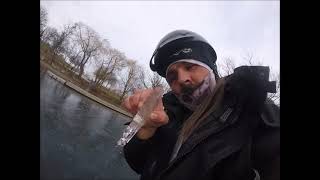 Hamilton Harbor Ice Report Jan 10 2021 and Fishing License address switch