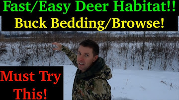 #1 Tree You NEED On Your Hunting Land For Deer Habitat/Food! Better than Apples/Oaks!