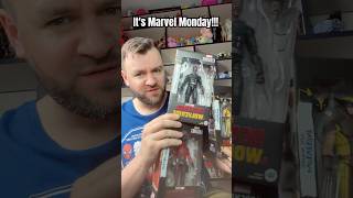 It's Marvel Monday! Deadpool action figures! #marvel #marvellegends #deadpool #wolverine #toys
