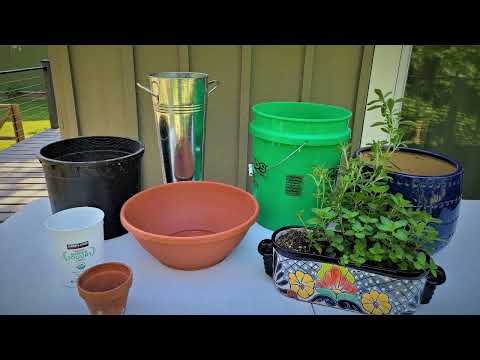Vídeo: Elecció del millor contenidor per a la jardineria
