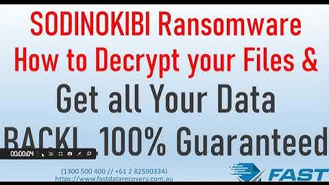 Sodinokibi Ransomware File Recovery & Decryption - 100% Proof