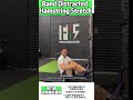 Band Distracted Hamstring Stretch｜Posterior Chain Mobility &amp; Hip Joint Space