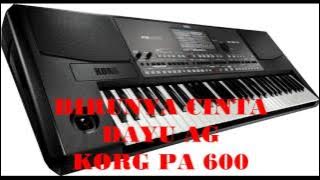 BIRUNYA CINTA KORG PA600