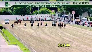15/03/2013 - Palermo - Pr. Peanut (C.I.) - 1000 m. - Jockey: Martín D. González