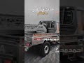 امي هلا عمري